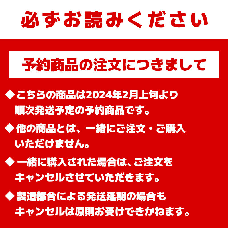 [Pre-order] Chiikawa Hachiware & Happy Friends Mascot (Set of 4) [Shipping starts from early February 2024 (No cancellation allowed in case of delay)]