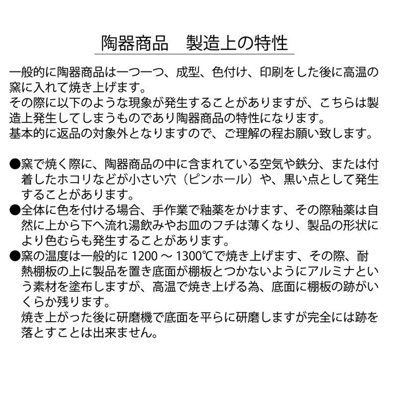 ちいかわ ぼっちゃりわんぱくお茶碗