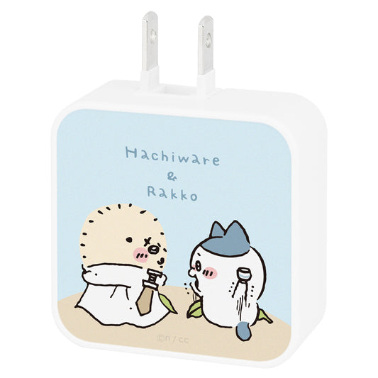 吉伊卡哇 USB/USB Type-C AC适配器（哈奇喵＆獭师）
