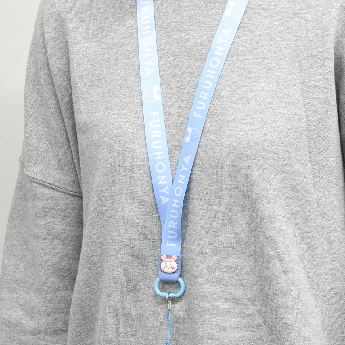 치이카와 넥스트랩 (카니2)