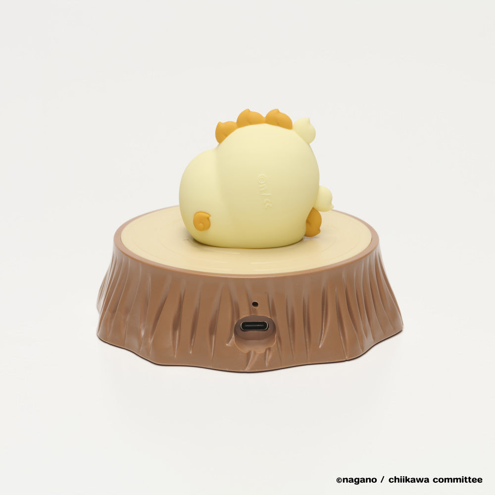 吉伊卡哇 Oitemite灯 (狮萨)