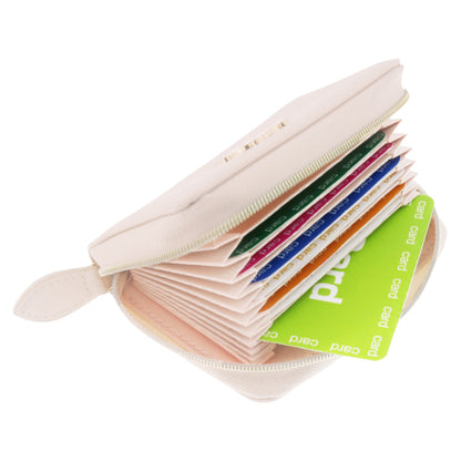 Chiikawa Card Case (Chiikawa)