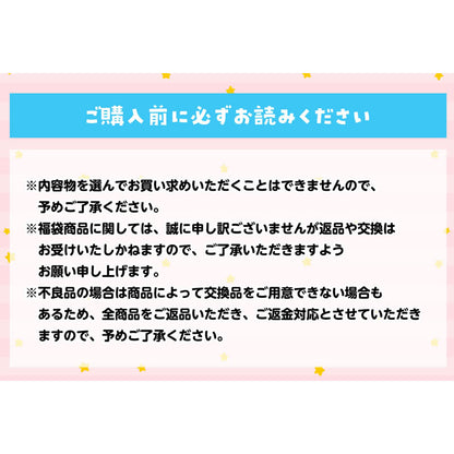【完売】【お一人様 1点まで】ちいかわ 冬のサンキューバッグ「とくべつ報酬」5,500円(税込)【クレジットカード決済のみ可】【他の予約商品・通常商品と同時購入・配送希望日指定不可】【キャンペーン対象外】